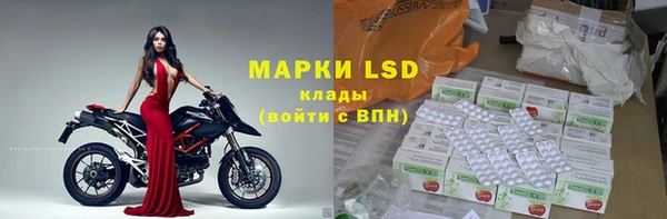 прущие грибы Няндома