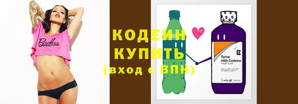 прущие грибы Няндома
