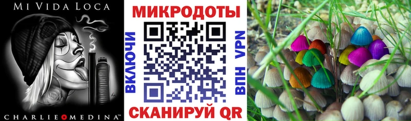 как найти закладки  Спасск-Рязанский  Псилоцибиновые грибы Psilocybine cubensis 